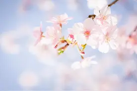 缘分，命中注定，一切不由人图片