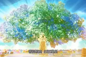 佛家中菩提指什么？菩提树为什么被佛家奉为圣树？图片