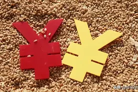 粮食补贴发放到户主名字上吗?2023粮食补贴是一次性到账吗?图片