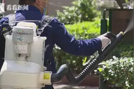 上海最新监测：蚊虫密度将达全年高峰！这种蚊子要特别当心→图片