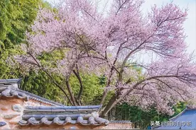 风景照片点评，知道别人拍摄的照片错在哪，可以帮你拍得更好图片