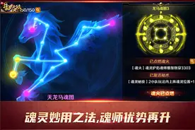 第五魂师的秘密《新斗罗大陆》魂灵系统全解析图片