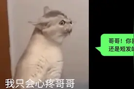 25岁小伙被“榨干”，这个杀猪盘瞄准的是我们所有人图片