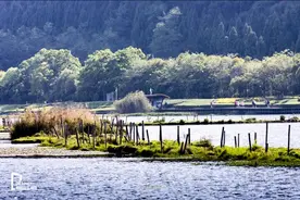 假期必看攻略！被低估的云南边陲小城，人少景美基本免票图片