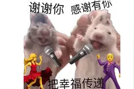 东方树叶已经快被小红书玩坏了图片