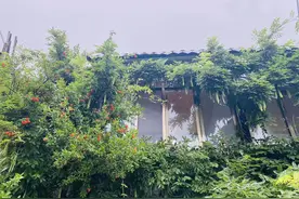 CET-6 核心词汇2000 Day 2图片