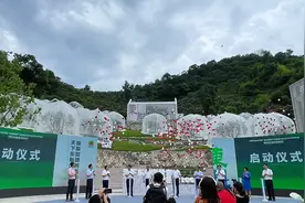 “始祖地”东魁杨梅开摘 不一样的“梅”好黄岩精彩启幕图片