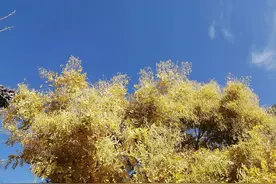 45一55岁，人生最难的十年，也是黑暗的十年，得咬牙坚持往前挺图片