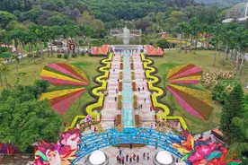 广州这10万株「郁金香花海」，展期延长了！图片