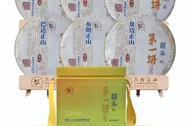 六大茶山2022年开春第一饼，名山礼盒装，带您喝遍6座古茶山图片
