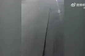 4岁女孩隔50米认出3年未见父母图片