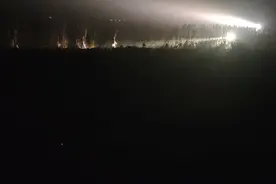 夜遇猎狗摩托队追杀野兔图片