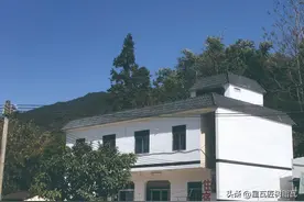 彩钢瓦和树脂瓦哪一个更好图片