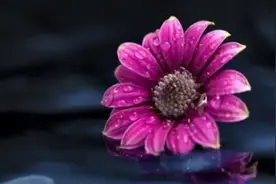 被小人为难时，不要一直隐忍，要学会以下几种回击方式图片