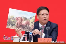 国家林草局副局长：云南亚洲象宝宝已从出生时100公斤长到300公斤图片