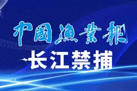 守护长江十年禁渔之约图片