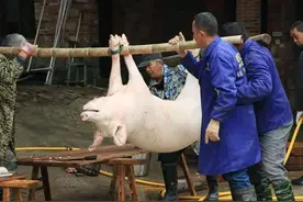 老武汉的杀猪匠图片