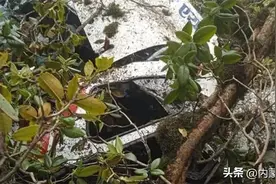 飞机坠毁！机上乘客全部遇难！图片