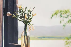 家，越干净，越有福图片