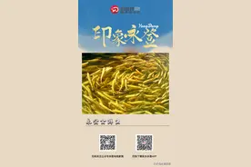 【印象•永登】永登金鳟鱼图片