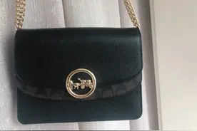 奢侈品包包丨轻奢包该怎么买？3个牌子推荐，让你不“踩坑”图片