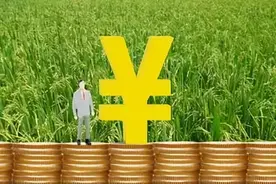 关于征收集体所有的土地和组织、个人的房屋以及其他不动产的相关裁判规则5条图片