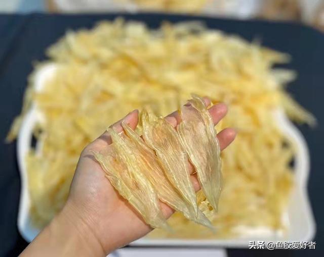 北海公胶和母胶有什么区别 北海公胶跟母胶的区别