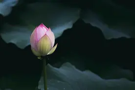 心里爱着你，就是一辈子的牵挂图片