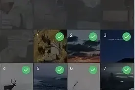 都说微信这些新功能很实用，你试过几个？图片