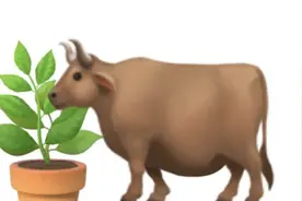 幽默搞笑怼人歇后语，高情商不带脏，值得收藏图片