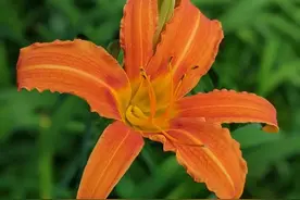 一个女人“经历”过多少男人，从她脸上就能知道图片