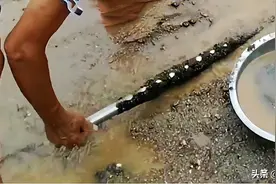 海边“撸铁棒”重现，扔根铁棍躺赚上百元，屡禁不止的背后是利益图片