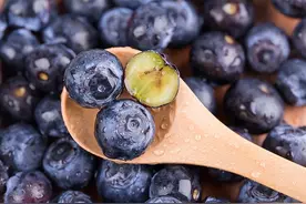 把蓝莓种阳台，蓝莓结成串、果子多又甜，营养价值高，市场好图片