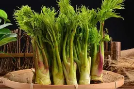 东北的顶级食材！花钱都买不到的美味，成为了老东北的记忆图片