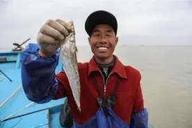 长江“十年禁渔”真的很值！网友拍到江豚捕食刀鱼，画面极其罕见图片