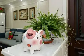 室内养花“别乱放”，5个地方不适合，养一盆枯一盆图片