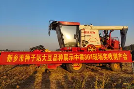 亩产303.6公斤！中黄301大豆测产迎丰收图片