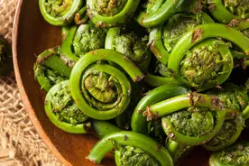 “甲醛大户”被揪出，蘑菇含有甲醛，有毒还致癌？别被骗了图片