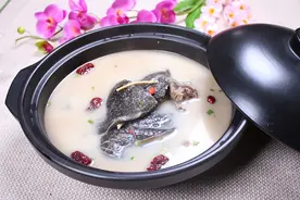 晨读｜袁念琪：上海人的甲鱼图片