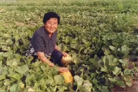 她扎根新疆数十年，只为让你手中的瓜更甜图片