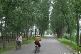 实拍：苏鲁豫皖四省交界处的鲁西南农村，是曾经想象中的模样吗？图片