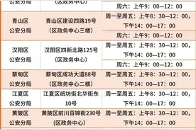 江城警讯 | 武汉公安出入境业务全面实行“预约办理”图片