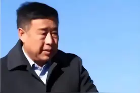 14年黑龙江大爷养鹅，被大雁“拐走”几千只，半年后带回上万只图片