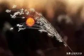 散文：2022年，我们向暖而行，皆如所愿图片