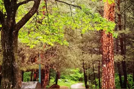 诸言微语：让理想照亮现实之路图片