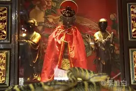 蛇庙中接受朝拜的瓦氏蝮蛇究竟有什么神奇之处？人们难道不怕被咬图片