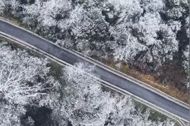 元旦去刚好！雅安最强优惠政策出炉，这些宝藏目的地免费耍！图片