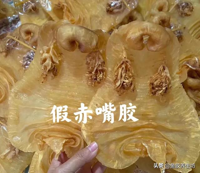 本港赤嘴鱼胶 2026年本港赤嘴鱼胶好不好 本港赤嘴鱼胶 2026年本港赤嘴鱼胶好不好