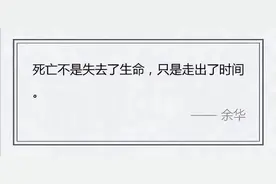 网友记录猫咪生命的最后24小时：陪它做完它喜欢的事...图片