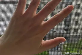 “红极一时”的金刚网纱窗为何无人问津？不解决这些，终被淘汰图片